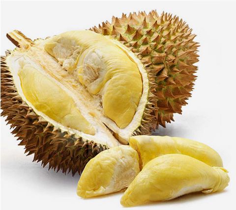榴莲